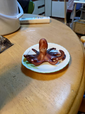 ʐ^